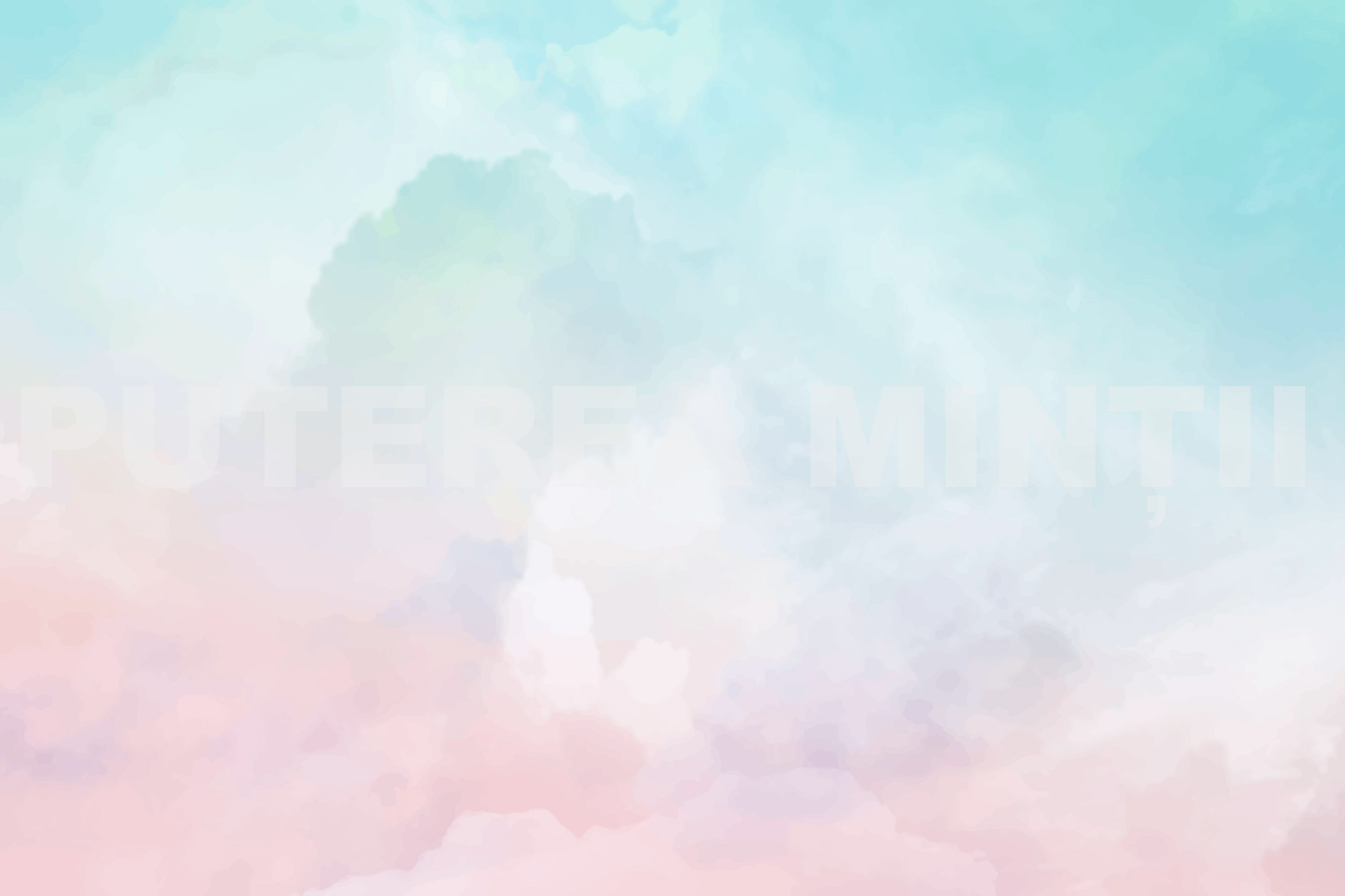Organization Banner