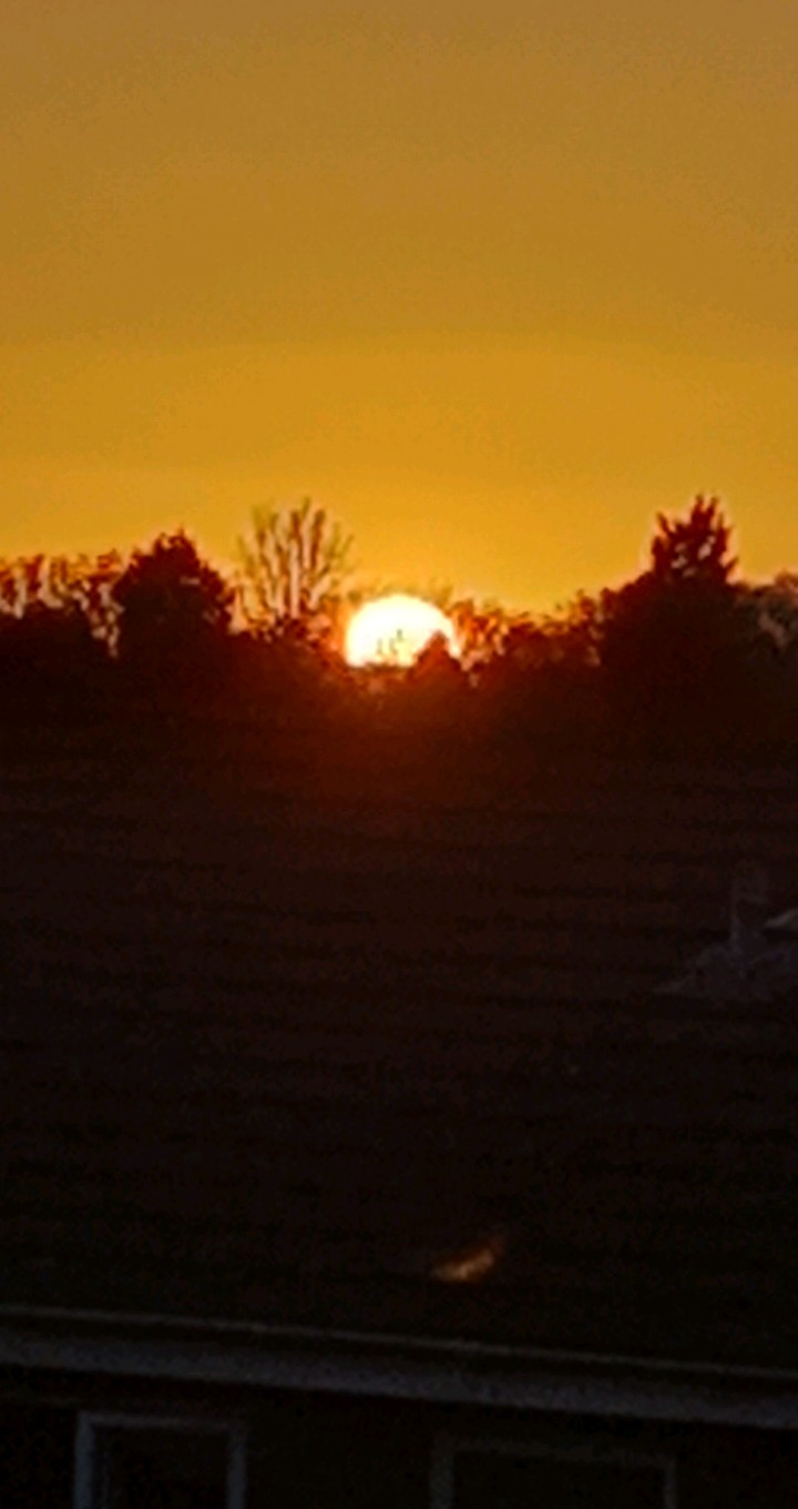 profile banner