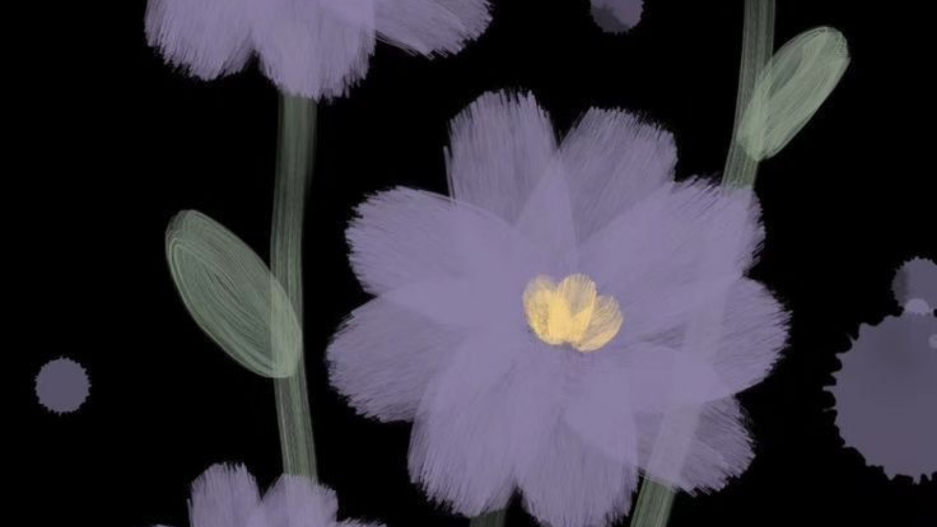 profile banner